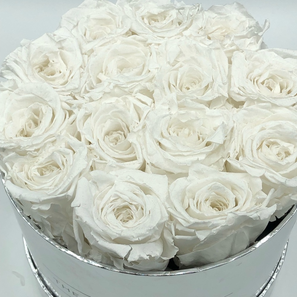 The Millon Roses - Picture 8 of 8